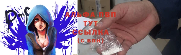 твердый Арсеньев