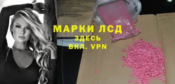 твердый Арсеньев