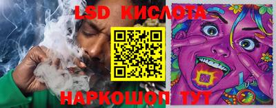 гидра Донской