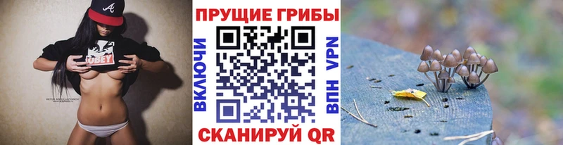 ссылка на мегу рабочий сайт  Рыбинск  мориарти официальный сайт  Галлюциногенные грибы Psilocybe 