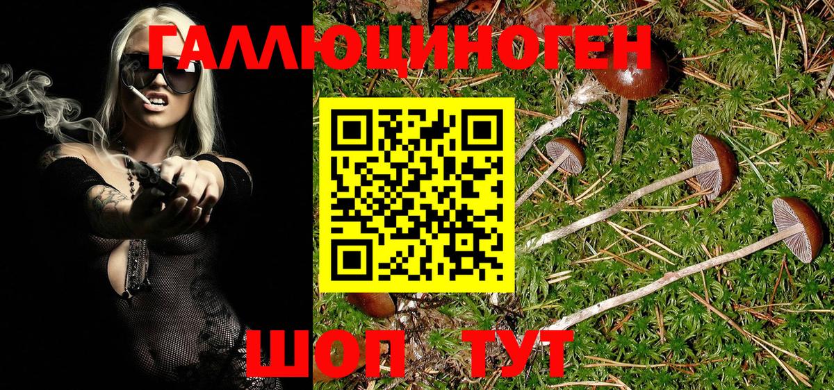 Псилоцибиновые грибы мицелий  Галлюциногенные грибы прущие грибы  Рыбинск 