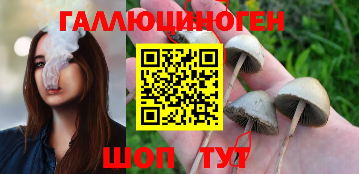 Кодеин  Рыбинск  ГАШИШ  Alpha-PVP СК кристаллы  Меф МЯУ МЯУ кристаллы  Гашиш  Марихуана  Кокаин  Вход с VPN 